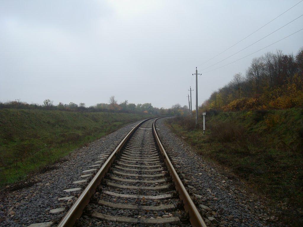 Вільхівці з panoramio.com - Вільхівці