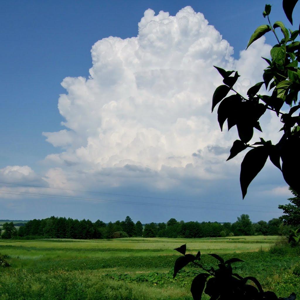 Яблунівка з panoramio.com - Яблунівка