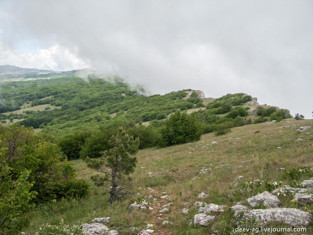 Голуба Затока з panoramio.com (ч.2) - Голуба Затока