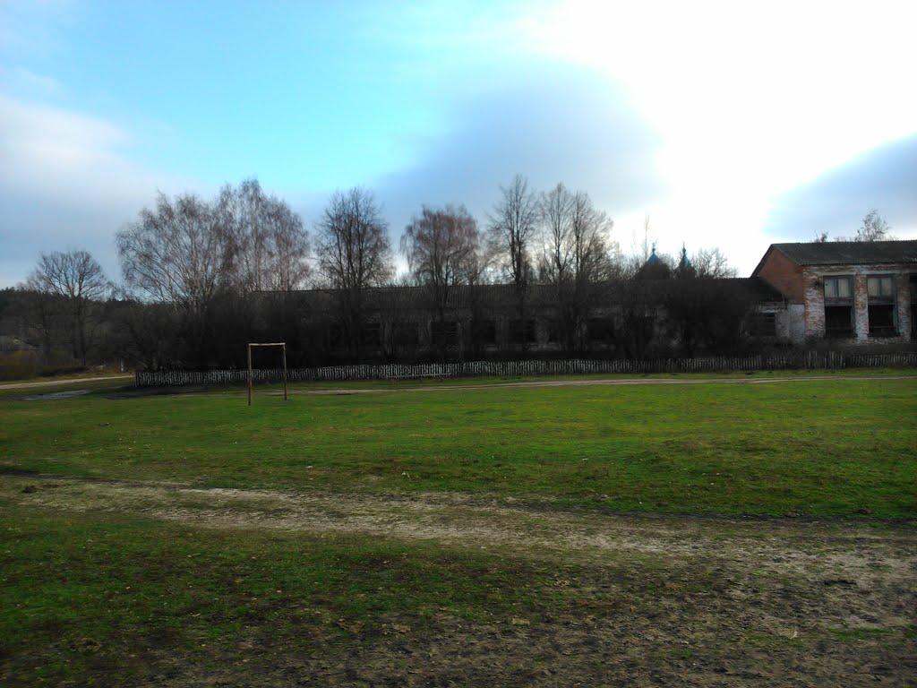 Старикове з panoramio.com - Старикове