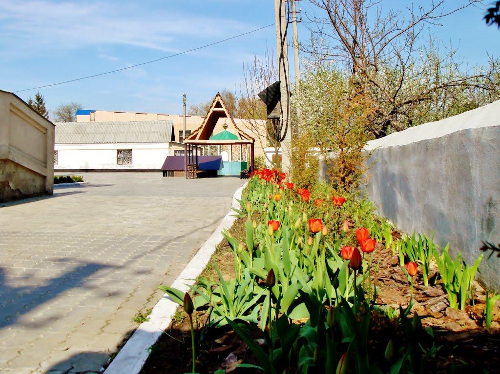 Гудзівка з panoramio.com - Гудзівка