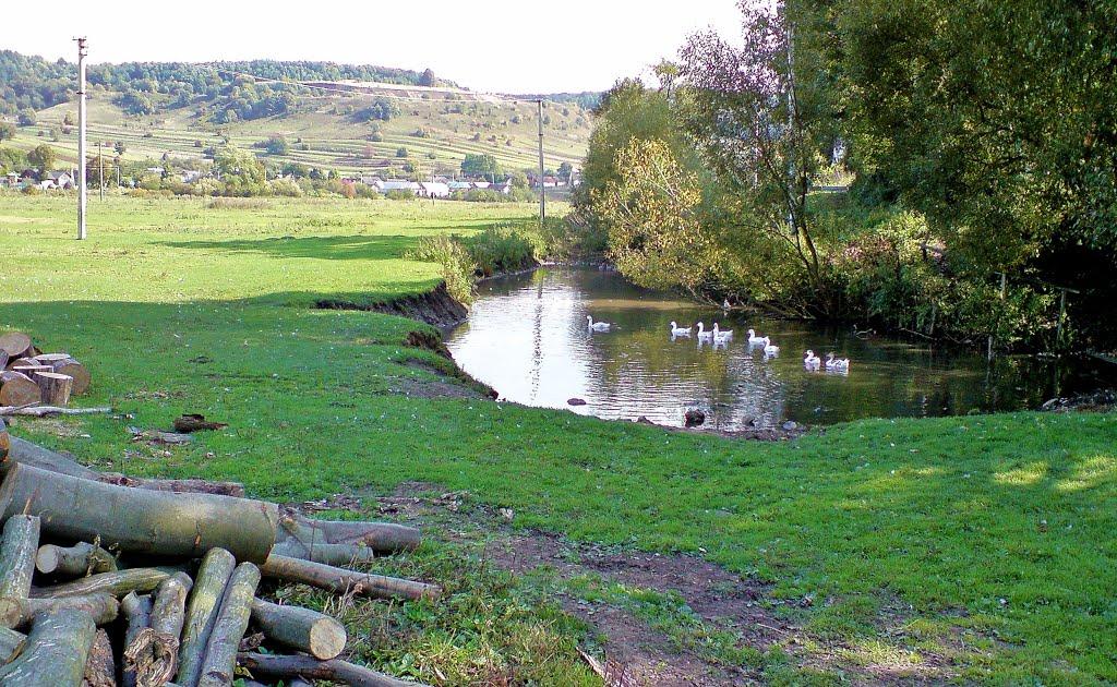 Нараїв з panoramio.com - Нараїв