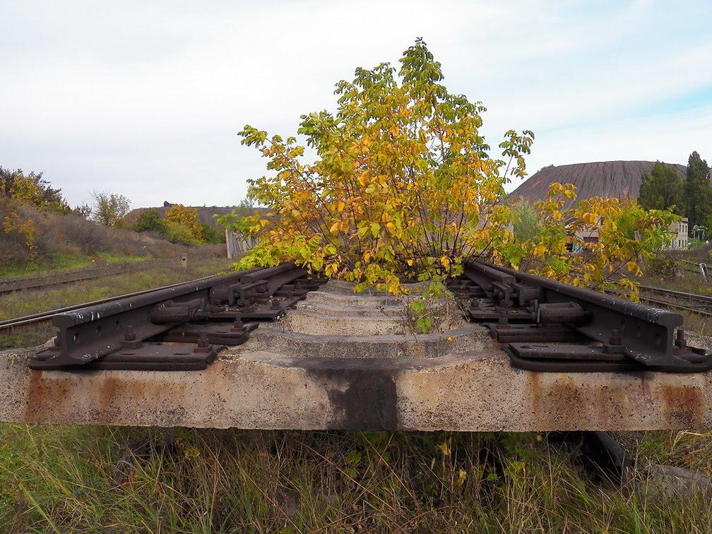 Єнакієве з panoramio.com (ч.3) - Енакиево