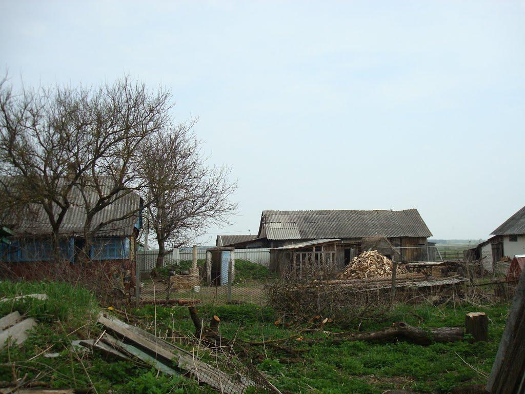 Дроздні з panoramio.com - Drozdni