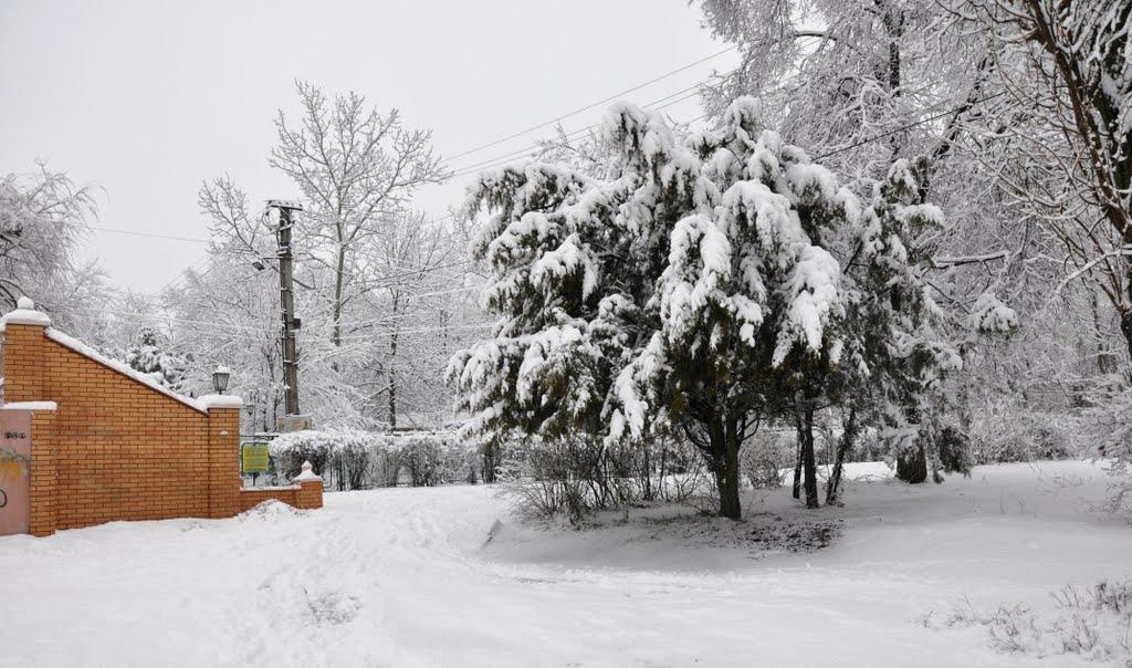 Новомосковськ з panoramio.com (ч.3) - Новомосковськ
