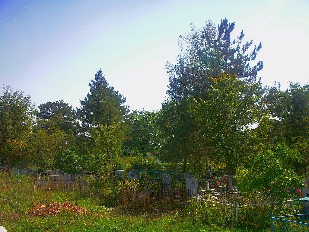 Плотинне з panoramio.com - Плотинное