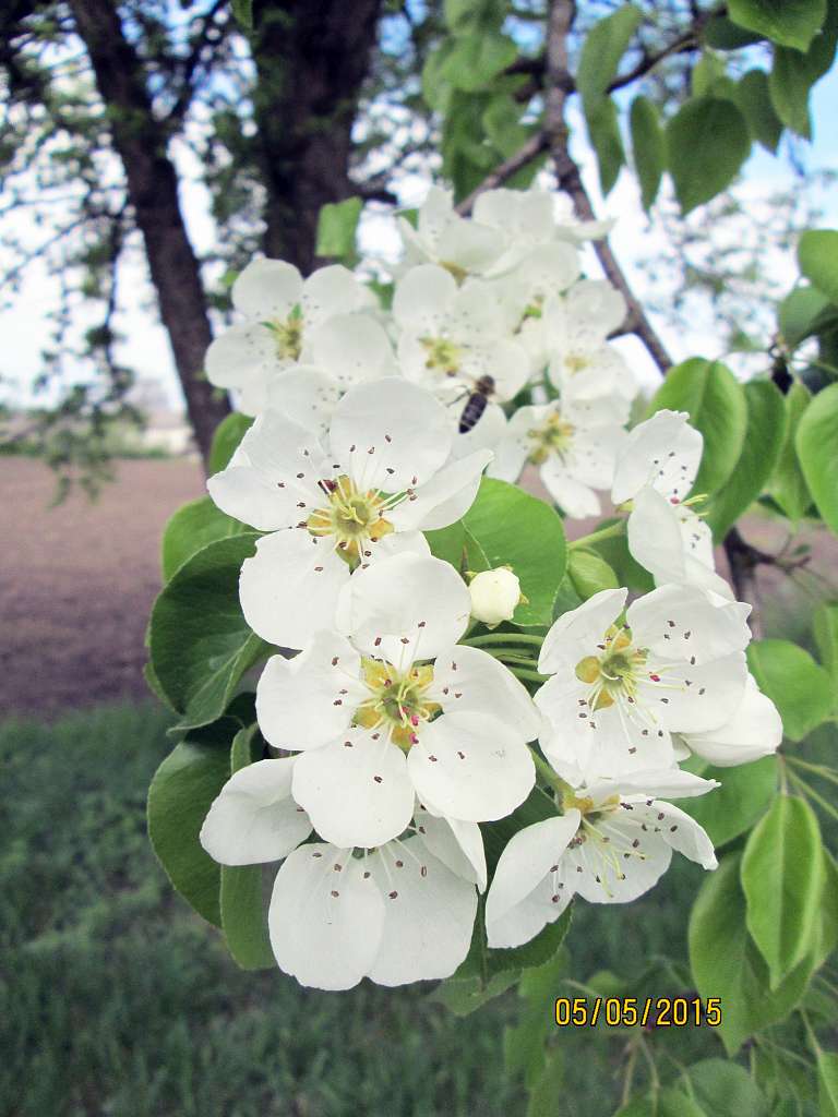 Добрий день Погоріла!