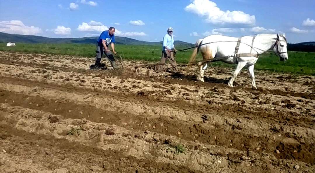 с.Сторона - Сторона
