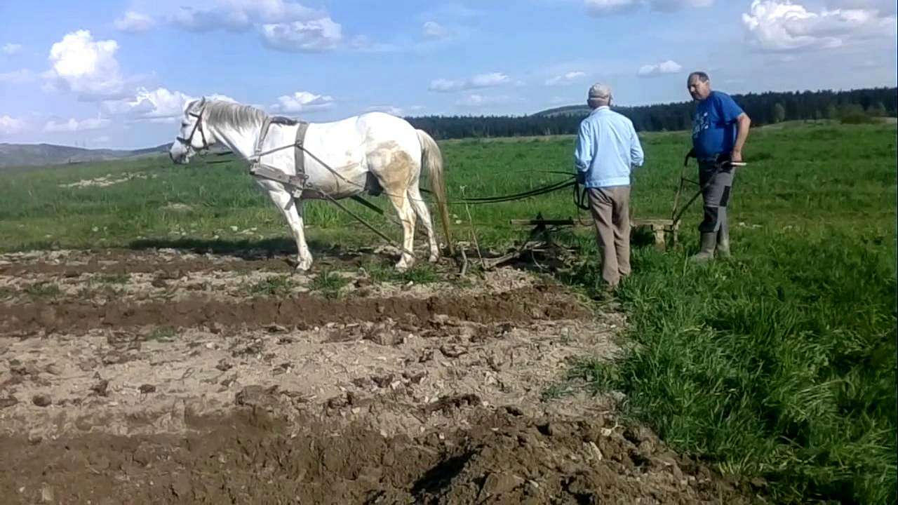 с.Сторона - Storona