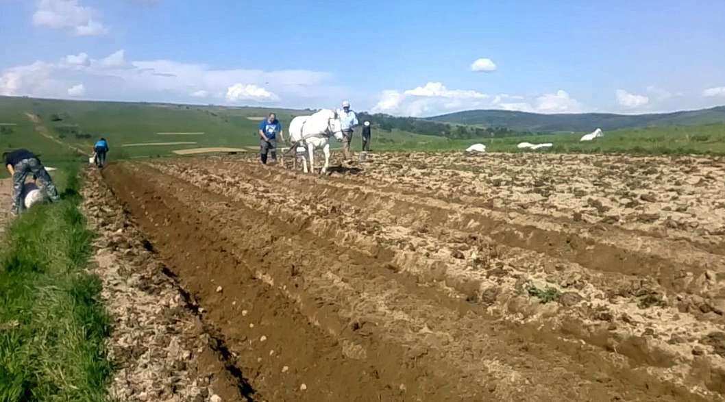 с.Сторона - Сторона