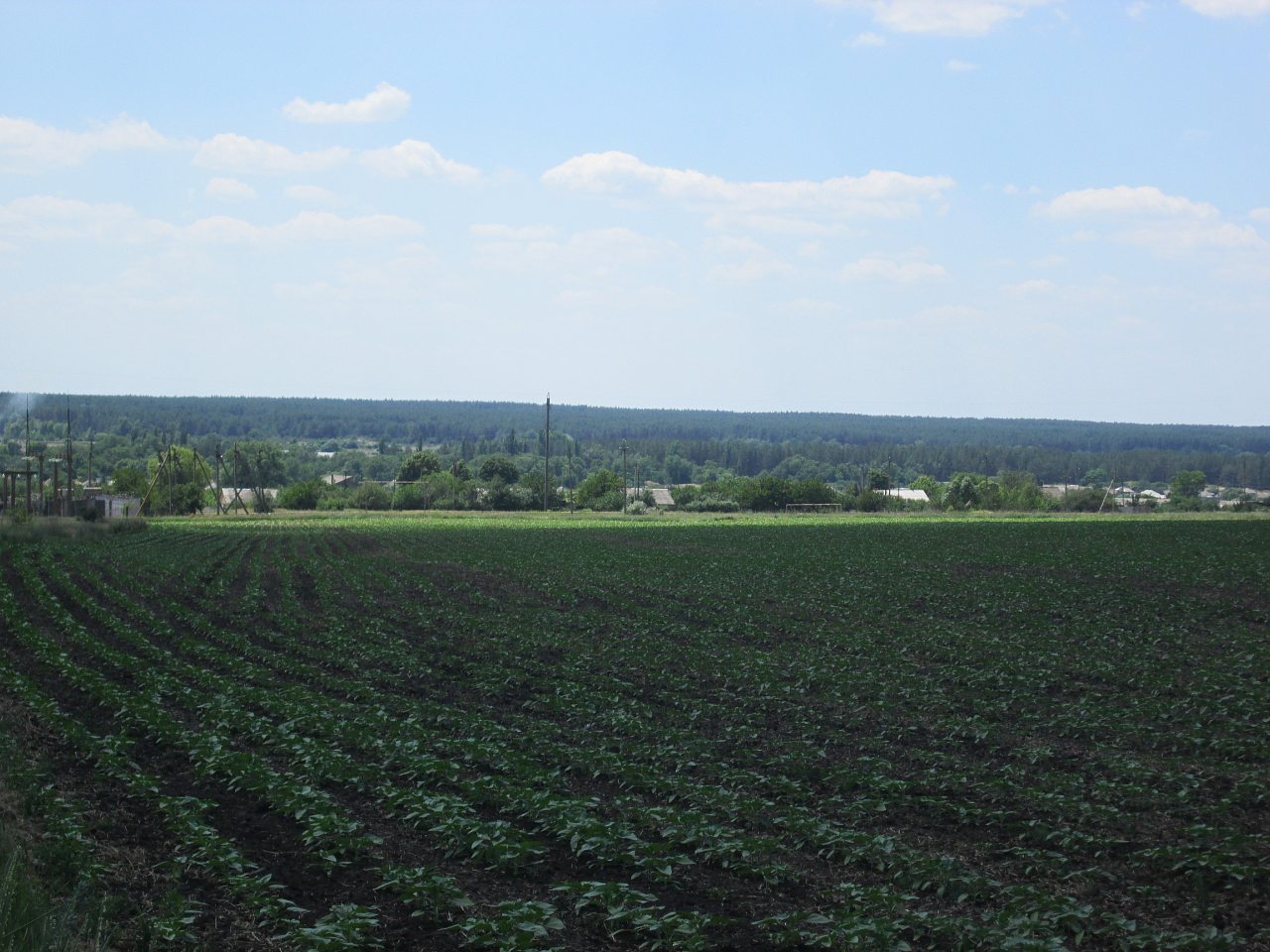 Новоохтирка - Новоохтирка