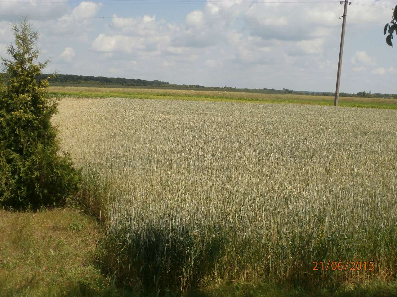 Географічний Центр України - Марьяновка