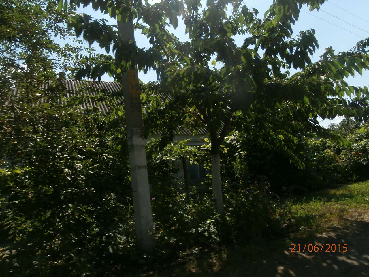 Шпола-географічний центр України - Шпола