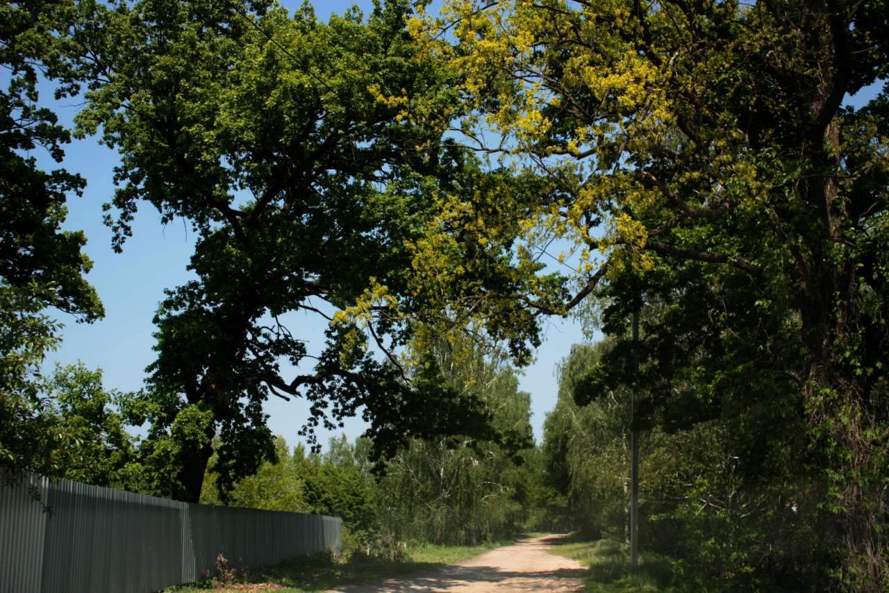 Пирново - Пірнове