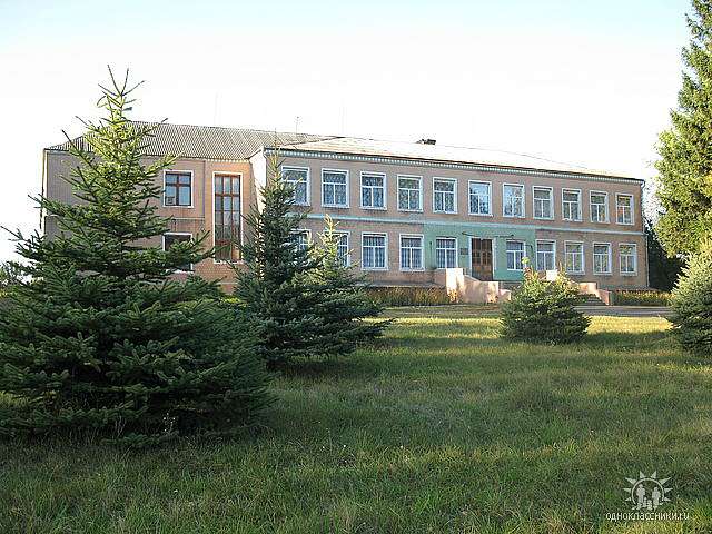 Життя  села - Топильня