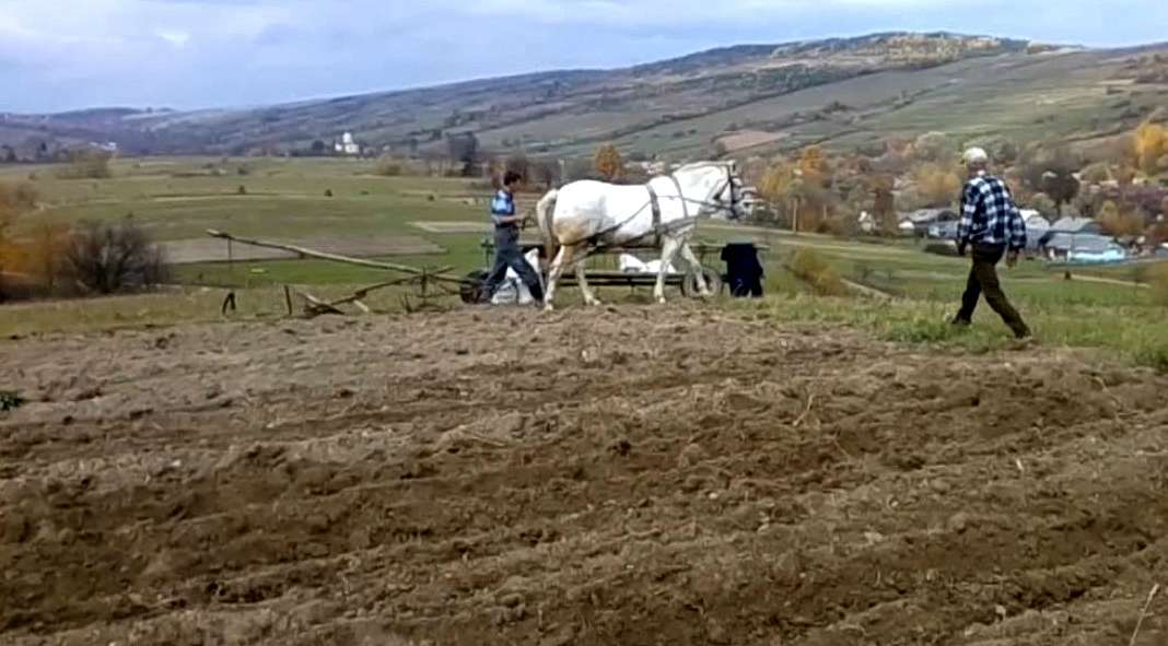 с.Сторона - Сторона