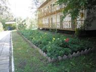 Омельник з panoramio.com