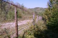 Малий Березний з panoramio.com