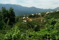 Ізобільне з panoramio.com