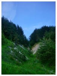 Манаїв з panoramio.com