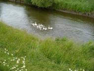 Бруслинів з panoramio.com