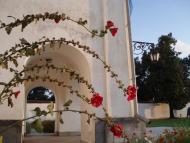 Летичів з panoramio.com