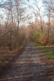 Першотравневе - Останні фото
