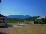 Аромат з panoramio.com