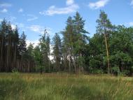 Старый Караван - Последние фото