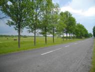 Ольганівка з panoramio.com