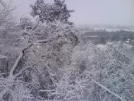 Снятин з panoramio.com