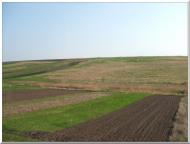 Роснівка з panoramio.com