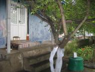 Сарата з panoramio.com