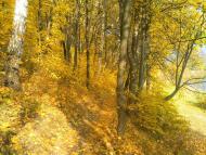 Хотінь з panoramio.com