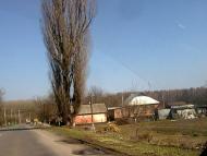 Малі Крушлинці - Останні фото