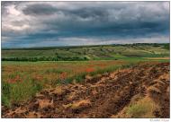 Чижево - Последние фото