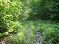 Кам'яниця з panoramio.com