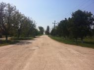 Жемчужина з panoramio.com