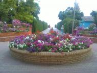 Строганівка з panoramio.com