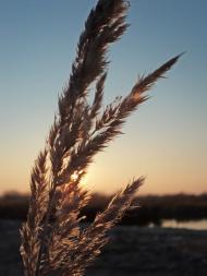 Твориничі з panoramio.com