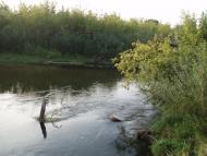 Бухарів - Останні фото