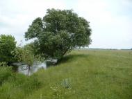 Бруслинів з panoramio.com