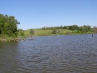 Черниші з panoramio.com