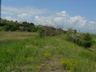 Плавні з panoramio.com