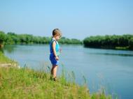 Вища Дубечня з panoramio.com