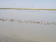 Тургенево - Последние фото