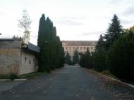 Копистин з panoramio.com