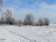 Вільшане з panoramio.com
