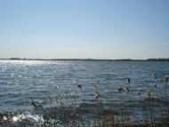 Мартове з panoramio.com