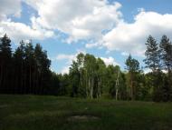 Діброва з panoramio.com